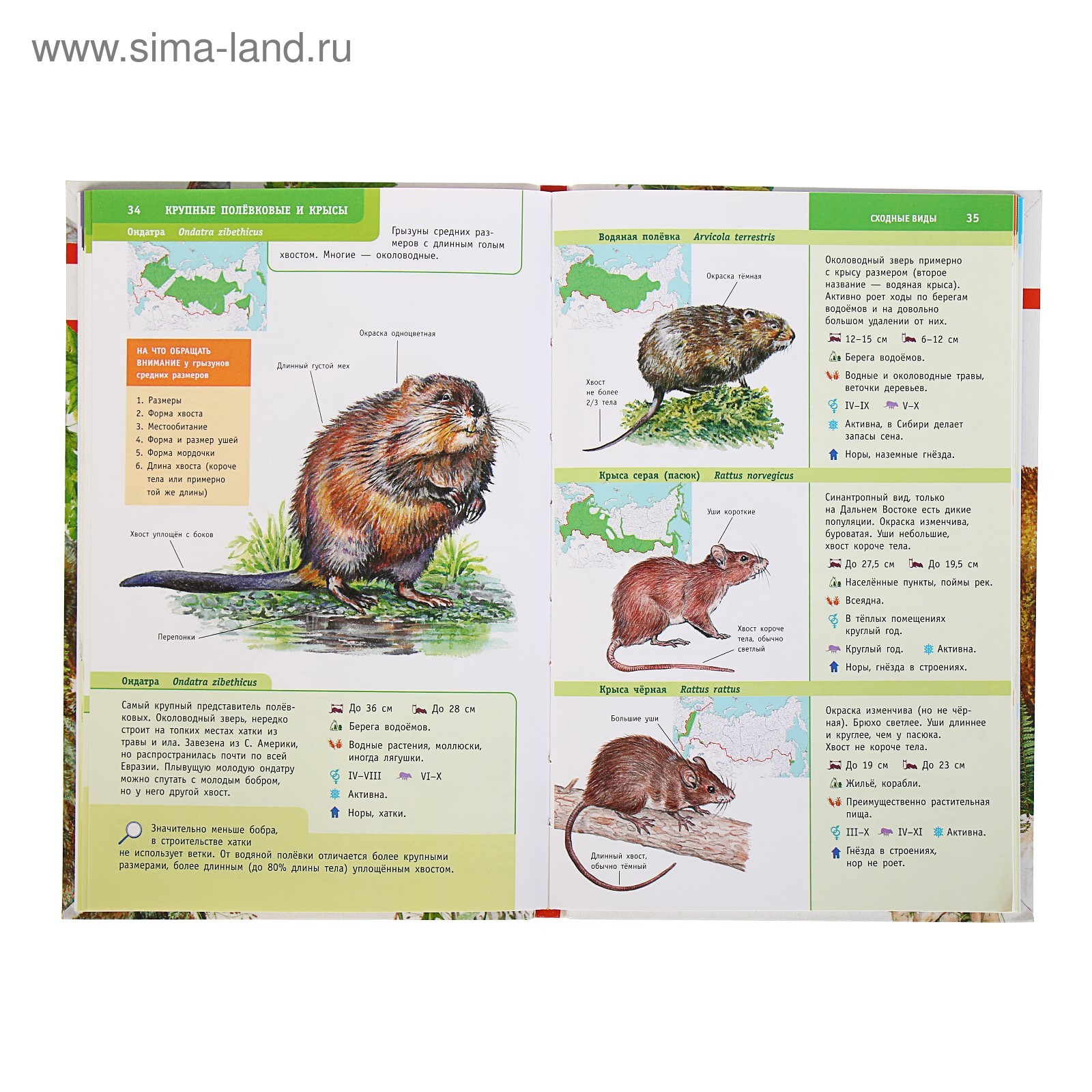 От земли до неба. Атлас определитель. Плешаков.А - купить в Ульяновске, цена 350