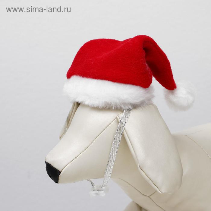 Колпак новогодний для собак, S-M (высота 15 см, обхват головы 25 см), микс - Фото 1