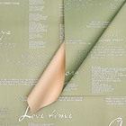 Пленка для цветов матовая "Новости Love",зеленый чай/лимонный крем, 60 х 60 см - фото 9494996