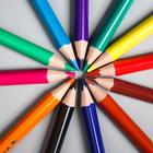 Цветные карандаши в тубусе, 12 цветов, трехгранные, Маша и Медведь - Фото 5
