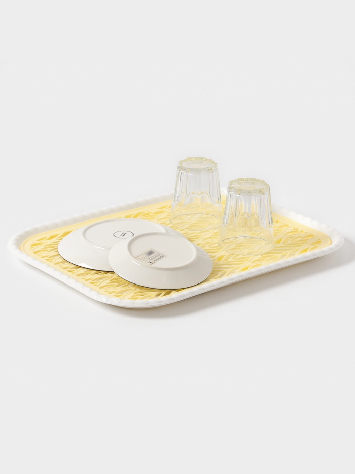 Поднос с вкладышем для сушки посуды Альт-Пласт «Колос», пластик, 45.5×36 см, МИКС - Фото 1