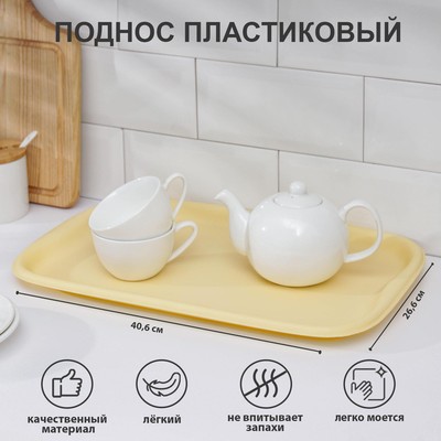 Поднос Альт-Пласт «Эгоист», 40.6×26.6 см, пластик, МИКС