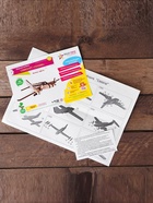 Конструктор сборный 3D модель «Самолёт. CESSNA» - Фото 5