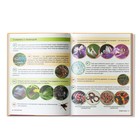 Энциклопедия «200 фактов о животных», 48 стр. - Фото 4