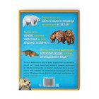 Энциклопедия «200 фактов о животных», 48 стр. - Фото 7