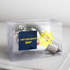 Ёлочный шар «Ветка ели», 5 LED, от батареек, свечение белое - Фото 5