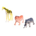 Развивающий набор сортер «Изучаем животных», по методике Монтессори - фото 3845229
