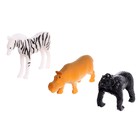 Развивающий набор сортер «Изучаем животных», по методике Монтессори - фото 3845230