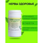 Пищевая добавка «Нервы здоровые», 90 таблеток - Фото 1