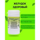 Пищевая добавка «Желудок здоровый», 90 таблеток - Фото 1