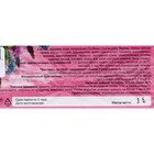 Травяной сбор «Для стройности», фильтр-пакет, 20 шт. - Фото 3