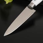 Нож кухонный Доляна «Инканто», лезвие 12 см, цвет белый - фото 4289630