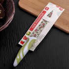 Нож кухонный с антиналипающим покрытием Доляна «Тропики», лезвие 12,5 см, цвет зелёный - Фото 2