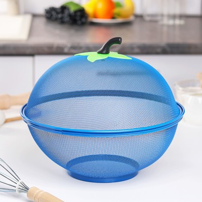 Сито с крышкой для хранения продуктов Доляна «Вкус», d=28 см, цвет МИКС