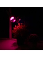 Фитолампа для растений Luazon Lighting, светодиодная, А60, E27, 9 Вт, IP44, 220 В, 270°, мультиспектральная - Фото 4