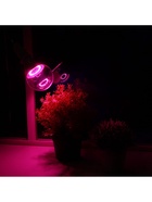 Фитолампа для растений Luazon Lighting, светодиодная, А60, E27, 15 Вт, IP44, 220 В, 270°, мультиспектральная - Фото 4