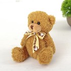 Мягкая игрушка «Медведь с бантом», цвет МИКС - фото 8897454