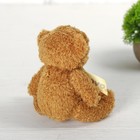 Мягкая игрушка «Медведь с бантом», цвет МИКС - фото 6250932
