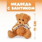 Мягкая игрушка «Медведь с бантиком», цвета МИКС - фото 8897460