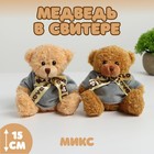 Мягкая игрушка «Медведь в свитере», цвета МИКС - фото 320794856