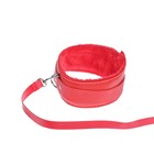 Игра для пар «Во власти страсти. Искусство наслаждения», 7 в 1 (30 карт, веревка, маска, кляп, плётка, ошейник, пристежки для рук и ног), 18+ - Фото 10