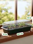 Мини - парник для рассады, 39×17.5×12 см, без вставок, тёмно-зелёный, пластик, Greengo - Фото 2