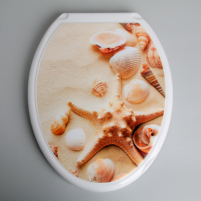 Сиденье для унитаза с крышкой Росспласт «Ракушки на песке»,54х37см, цвет белый - фото 1905598952