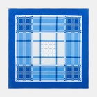 Платки носовые мужские «Этель», 30×30 см, набор 12 шт., голубые, рисунок МИКС, хлопок 100% - Фото 4