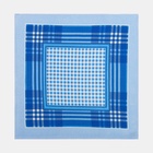 Платки носовые мужские «Этель», 30×30 см, набор 12 шт., голубые, рисунок МИКС, хлопок 100% - Фото 7