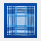 Платки носовые мужские «Этель», 30×30 см, набор 12 шт., голубые, рисунок МИКС, хлопок 100% 4564363