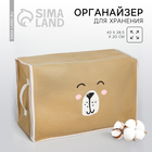 Органайзер для хранения белья, кофр с pvc-окном «Медведь», 43×28.5×20 см - Фото 1