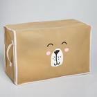 Органайзер для хранения белья, кофр с pvc-окном «Медведь», 43×28.5×20 см - Фото 3