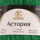Пряжа для вязания спицами, крючком «Камтекс. Астория», 65% хлопок, 35% шерсть 180 м/50 г, (044 травка) 4663553 - фото 319816376
