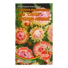 Семена цветов Гелихризум Серебряно - розовый, О, 0,1 г - Фото 1