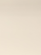 Пленка матовая для цветов двухсторонняя «Зефир», чайная роза - кремовый, 57 см × 10 м - Фото 6