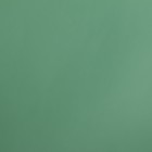 Пленка матовая для цветов "Бостон", зелёный, 57 см х 5 м - фото 7625821