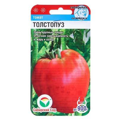 Семена Томат «Толстопуз», 20 шт., «Сибирский сад»