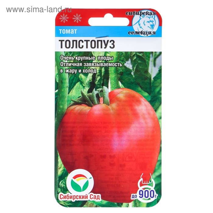 Семена Томат «Толстопуз», 20 шт., «Сибирский сад» - Фото 1