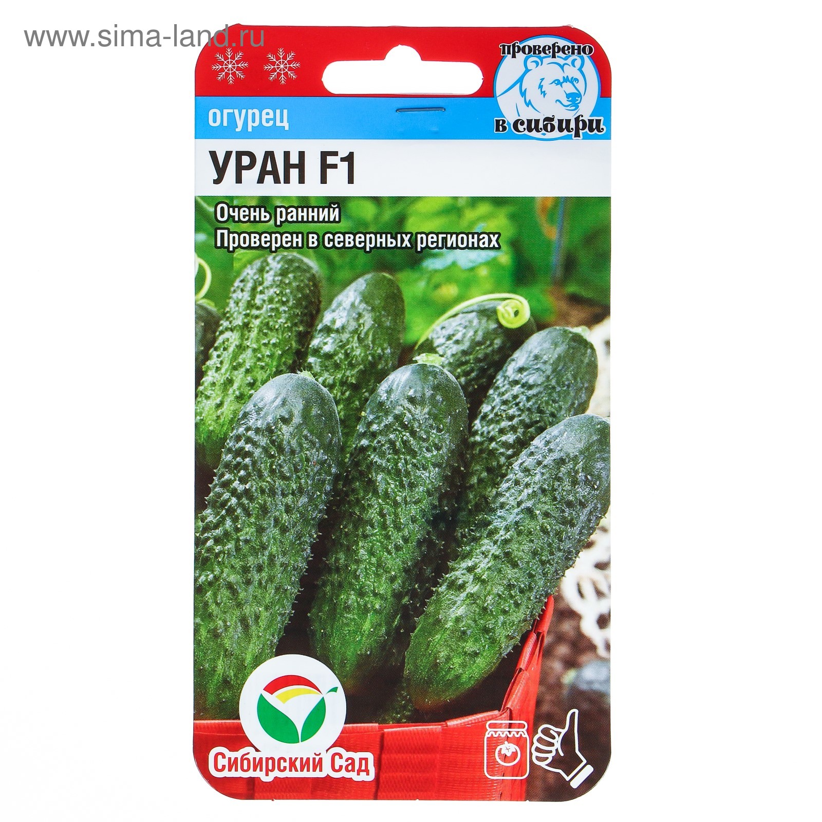 Огурцы уран описание фото Огурцы уран описание фото