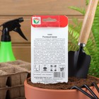 Семена Тыква "Розовый банан", 5 шт - Фото 2