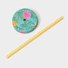 Кружка Доляна «Фламинго», 450 мл, 10×7.5×13 см, с крышкой и трубочкой, стекло, прозрачная, разноцветная - Фото 5