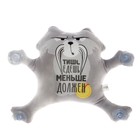 Автоигрушка «Тише едешь - меньше должен», енот, на присосках - Фото 4