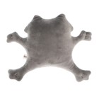 Автоигрушка «Тише едешь - меньше должен», енот, на присосках - Фото 3