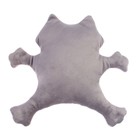 Автоигрушка «Тише едешь - меньше должен», енот, на присосках - Фото 5