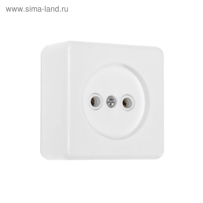 Розетка «Элект» РА 16-019, 250 В, 16 А, открытая, одноместная, с монтажной панелью, белая - Фото 1