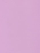 Пленка матовая для цветов, двухсторонняя, «Зефир», лаванда - чайная роза, 57 см × 10 м - Фото 5