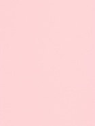 Пленка матовая для цветов, двухсторонняя, «Зефир», лаванда - чайная роза, 57 см × 10 м - Фото 6