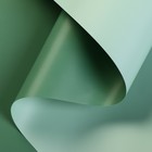 Пленка матовая для цветов, двухсторонняя,"Зефир" ,57 см х 5 м - фото 318254472
