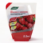 Удобрение органоминеральное "Для клубники и земляники", 2,5 кг - Фото 1