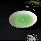 Тарелка фарфоровая Доляна «Космос», d=21,2 см, цвет зелёный - Фото 7